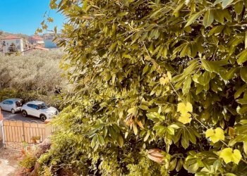 IMG_3803.jpg - Casa semi indipendente Arcola - foto 6