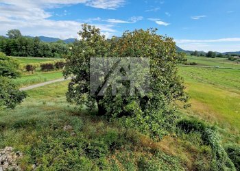 lucca-rustico-vendita_10.jpg - Rustico Traversa V Via della Pieve Santo Stefano, Lucca - foto 4