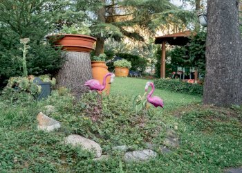 WhatsApp Image 2024-03-02 at 07.55.28 (1).jpeg - Appartamento Medesano - foto 4