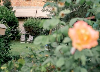 WhatsApp Image 2024-03-02 at 07.55.29 (1).jpeg - Appartamento Medesano - foto 5