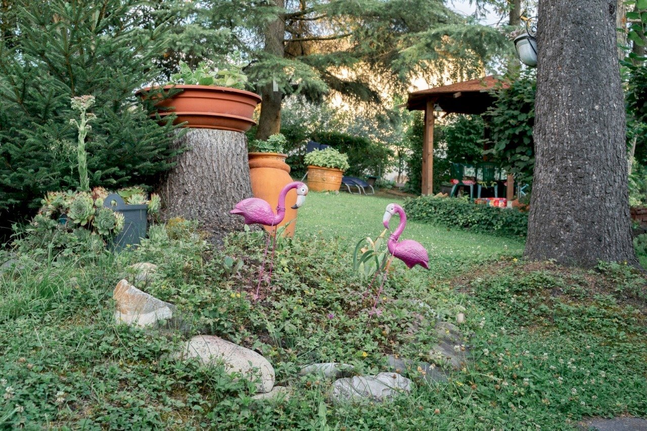 WhatsApp Image 2023-07-10 at 11.53.25.jpeg - Apartment Medesano - photo 3