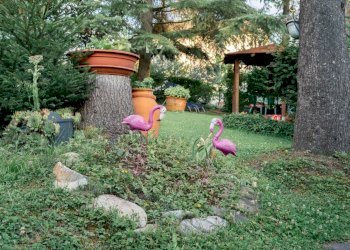 WhatsApp Image 2023-07-10 at 11.53.25.jpeg - Appartamento Medesano - foto 3