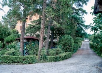 WhatsApp Image 2023-07-10 at 11.53.28 (1).jpeg - Appartamento Medesano - foto 6