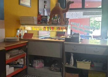 WhatsApp Image 2023-06-21 at 16.48.12 (2).jpeg - Appartamento Medesano - foto 10