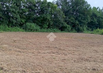 Building land Via Telarolo, Castellarano - photo 4
