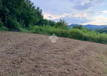 Building land Via Telarolo, Castellarano - photo 7