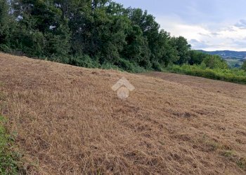 Building land Via Telarolo, Castellarano - photo 10
