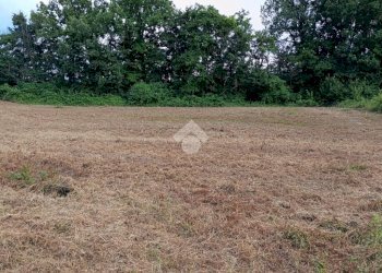 Building land Via Telarolo, Castellarano - photo 12