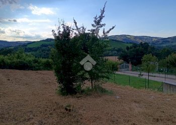 Building land Via Telarolo, Castellarano - photo 16