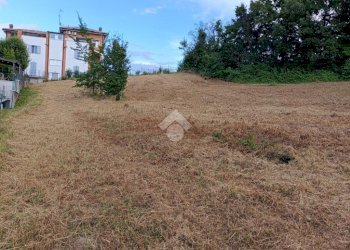 Building land Via Telarolo, Castellarano - photo 20