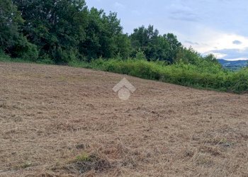Building land Via Telarolo, Castellarano - photo 23