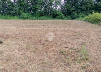 Building land Via Telarolo, Castellarano - photo 24