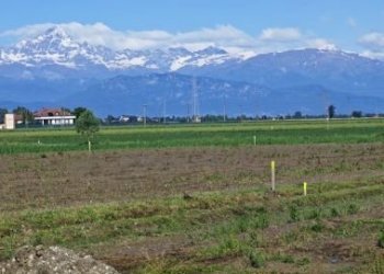 Apartment Via Ascanio Sobrero n. 4, Savigliano - photo 6