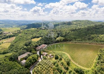 Castle Castelnuovo Berardenga, Radda in Chianti - photo 8