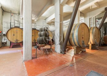 Castle Castelnuovo Berardenga, Radda in Chianti - photo 20