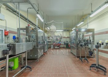 Castle Castelnuovo Berardenga, Radda in Chianti - photo 24