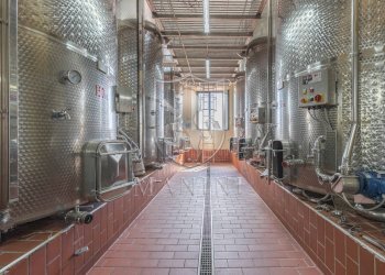 Castle Castelnuovo Berardenga, Radda in Chianti - photo 25