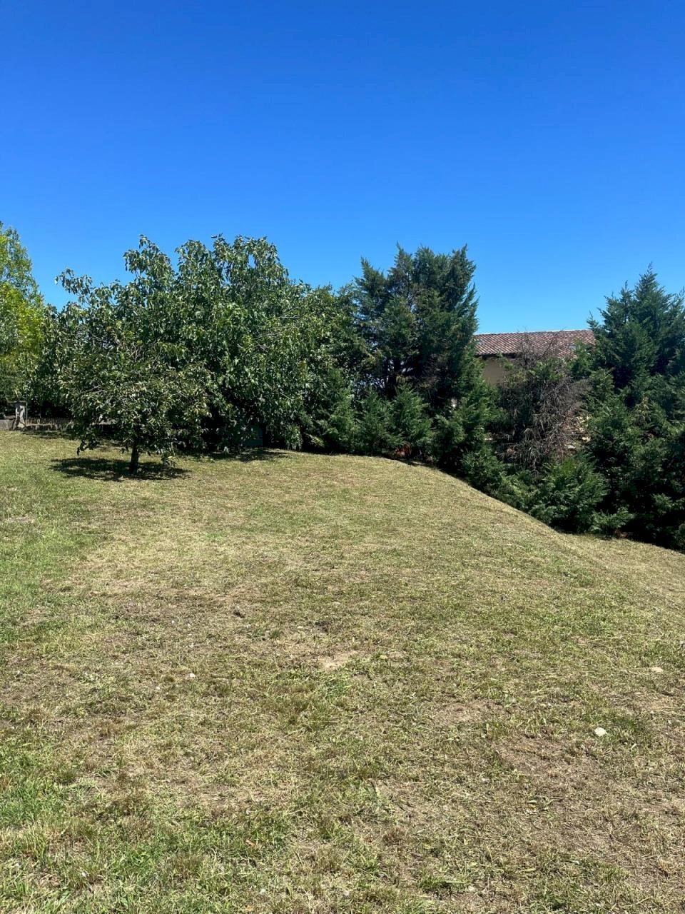 2.jpg - Agricultural land Via Stella, Valsamoggia - photo 2