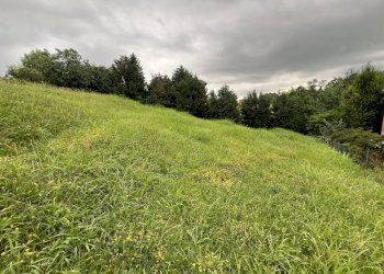 IMG_6695.jpg - Terreno agricolo Via Stella, Valsamoggia - foto 5