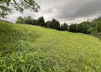 IMG_6697.jpg - Terreno agricolo Via Stella, Valsamoggia - foto 7