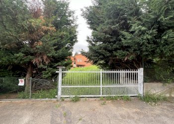 IMG_6698.jpg - Terreno agricolo Via Stella, Valsamoggia - foto 8