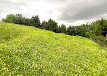 IMG_16695.jpg - Terreno agricolo Via Stella, Valsamoggia - foto 9