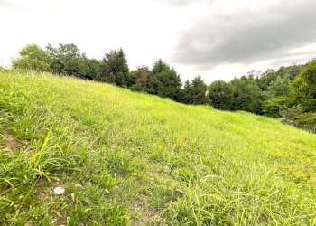 IMG_16696.jpg - Terreno agricolo Via Stella, Valsamoggia - foto 10