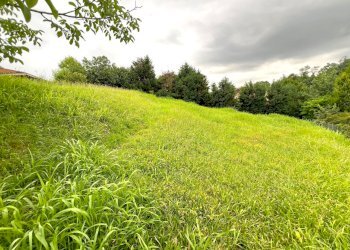 IMG_16697.jpg - Terreno agricolo Via Stella, Valsamoggia - foto 11