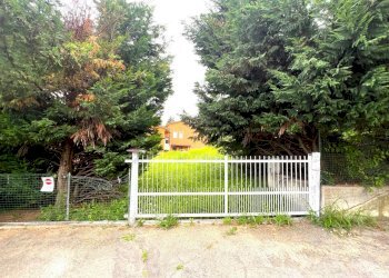 IMG_16698.jpg - Terreno agricolo Via Stella, Valsamoggia - foto 12