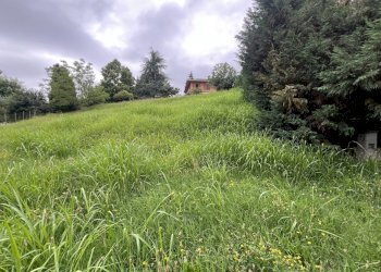 IMG_6691.jpg - Terreno agricolo Via Stella, Valsamoggia - foto 13