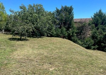 2.jpg - Terreno agricolo Via Stella, Valsamoggia - foto 2