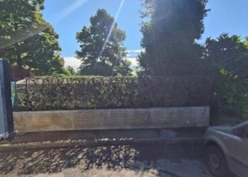 4.jpg - Terreno agricolo Via Stella, Valsamoggia - foto 4