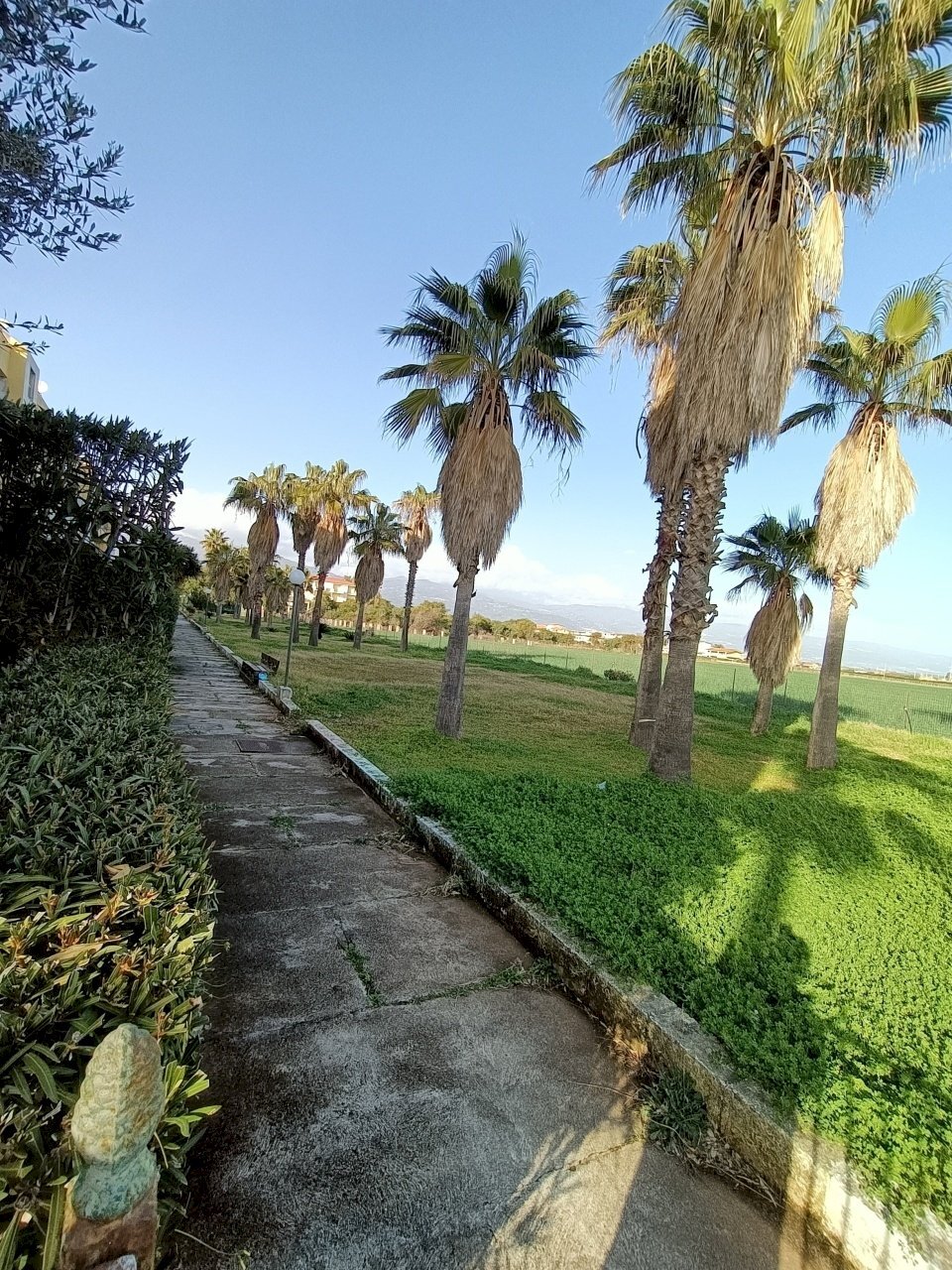 IMG20230227154347.jpg - Appartamento Via della Pineta, Lamezia Terme - foto 1