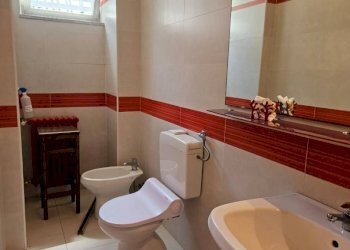 Commercial Activity Torino - photo 8