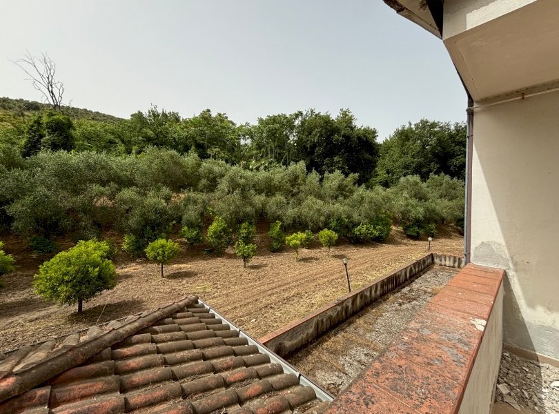 Rustico Falciano del Massico - foto 2