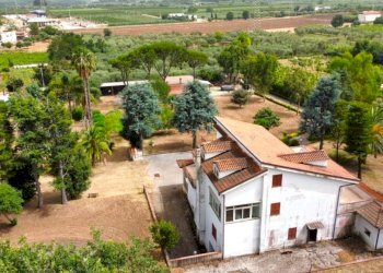 Rustico Falciano del Massico - foto 1