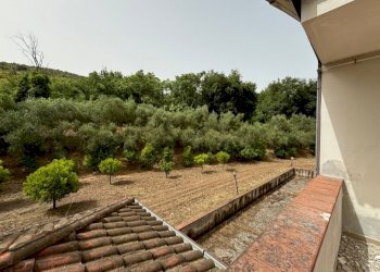 Rustico Falciano del Massico - foto 2