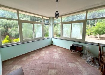 Rustico Falciano del Massico - foto 4