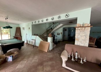 Rustico Falciano del Massico - foto 6