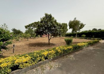 Rustico Falciano del Massico - foto 9