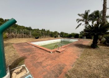 Rustico Falciano del Massico - foto 11