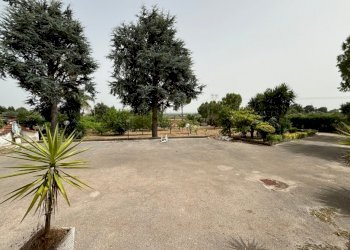 Rustico Falciano del Massico - foto 12