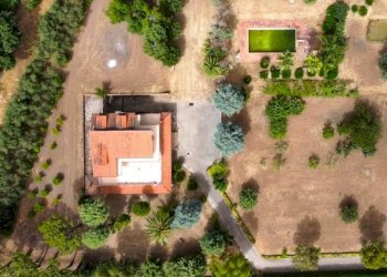 Rustico Falciano del Massico - foto 14