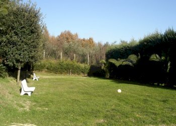 Rustico Falciano del Massico - foto 15