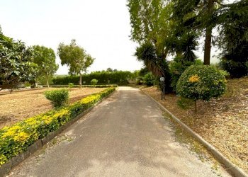 Rustico Falciano del Massico - foto 18