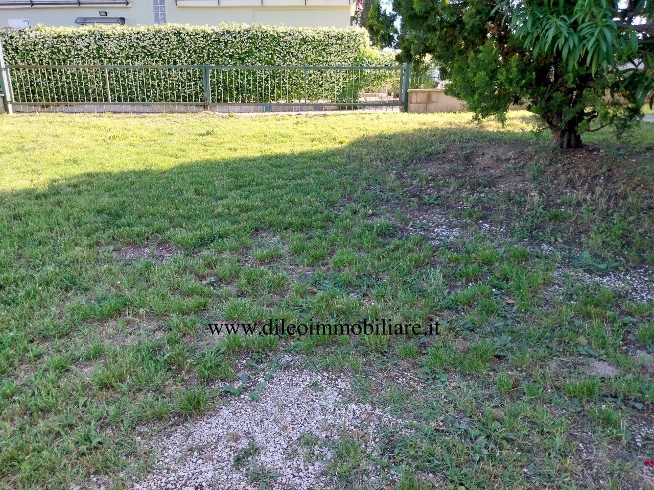 02DILEOIMMOBILIAREVENDECASACONTERRENOCASTORANO.jpg - Casa indipendente Castorano - foto 1