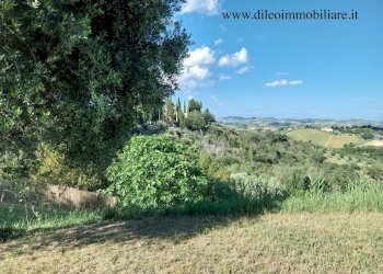 06DILEOIMMOBILIAREVENDECASACONTERRENOCASTORANO.jpg - Casa indipendente Castorano - foto 5