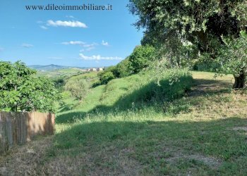 23DILEOIMMOBILIAREVENDECASACONTERRENOCASTORANO.jpg - Casa indipendente Castorano - foto 23