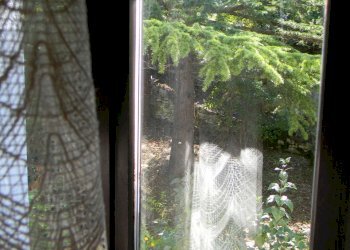 DSCN0565.JPG - Villa a Schiera Via delle Tre Genghe 20a, Pennabilli - foto 28