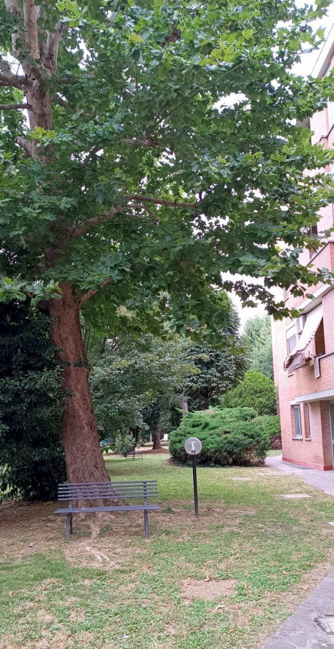 Appartamento Forlì - foto 3